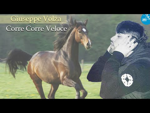 Giuseppe Volza - Corre Corre Veloce ( Seamusica Official )