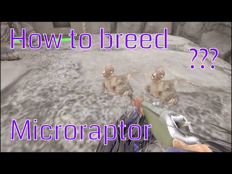ark - Microraptor - how to breed