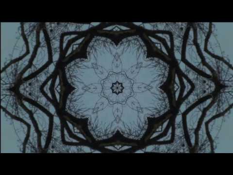 HOLY BRANCHES - RADICAL FACE