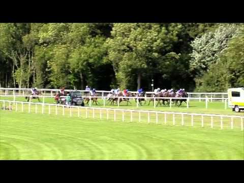 2013 Markel Insurance Nassau Stakes - Winsili