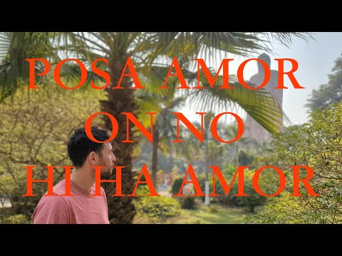 Sergi Carbonell - Posa amor on no hi ha amor (Visualizer)