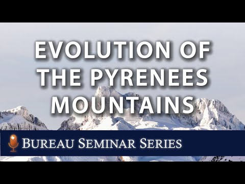 Spatio-temporal Evolution of Topography, Flexure, and Exhumation of the Pyrenees Mountains