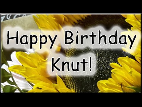 Happy Birthday Knut! Alles Gute zum Geburtstag!