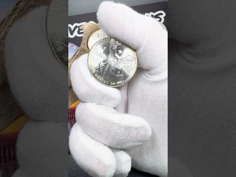 Abrí un rollo de plata de 40 años… y NO estaba listo