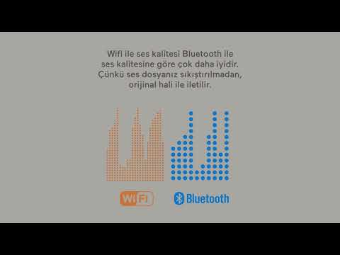 Zuhal Youtube Videos