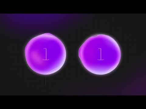 Q CTRL — Educational Animation Series — Ep 3  Circuits & Algorithms