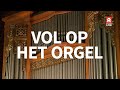 Vol op het orgel | Restauratie van het Steinmeyer-orgel
