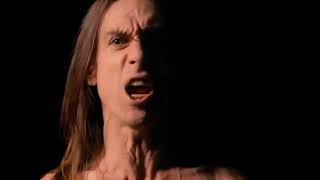 Iggy Pop - Wild America