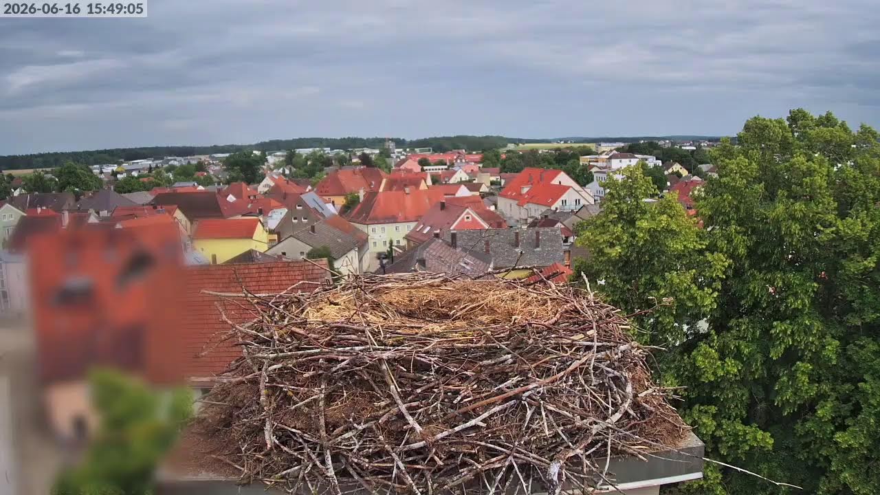 Live webcam view of Nido de Cigüeñas sobre Hemau
