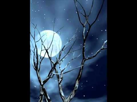 Nishi Kabbo  --  Fav Song --   Habib Wahid