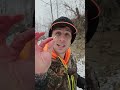 Exploding Bullets Vs. Ballistic Bunny