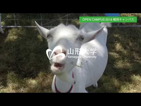 【山形大学】Open Campus 2018 #鶴岡キャンパス