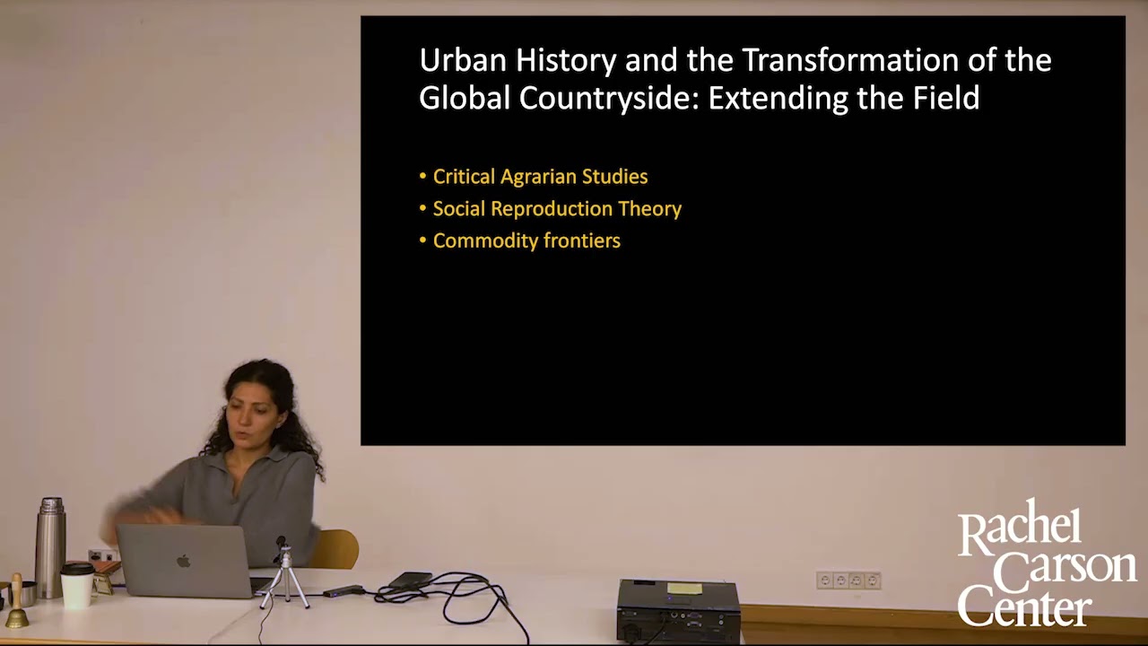 Lunchtime Colloquium with Salma Abouelhossein
