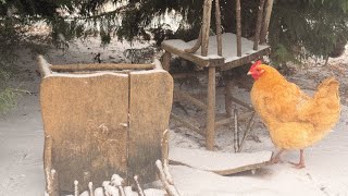 Cover art for The Overs