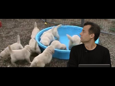 CS50 2015 - Week 3, continued