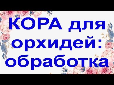 Обработка КОРЫ для ОРХИДЕЙ.Забрала БИГ ЛИП и "БАБОЧКУ" из "Юга".Привет Светлане и Елене :)