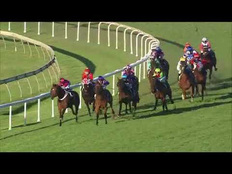 Archytas at Doomben races (19th August 2017)