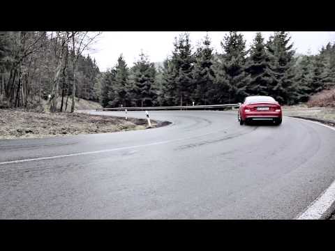 EIBACH | ANTI-ROLL-KIT | Performance Sway Bars (English)