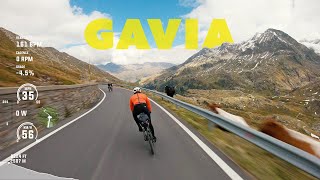 La discesa del Gavia di Safa Brian