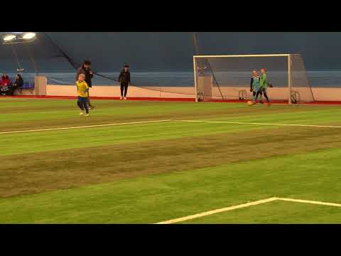 P10 Sibbo-Vargarna - VJS/pun1  Rankut