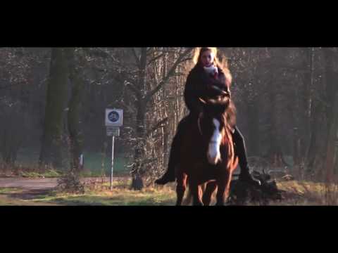 Teylan - Ein letzter Blick - 2016