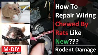 How To Repair Wiring Harness Chewed By Rats Like New??? Rodent Damage In Automotive Wiring