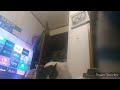 There S Bugs In My DVD Cases Part 2