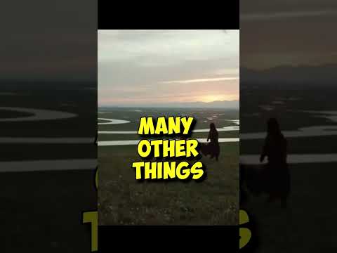 How RICH was GENGHIS KHAN?💰 #shorts #history