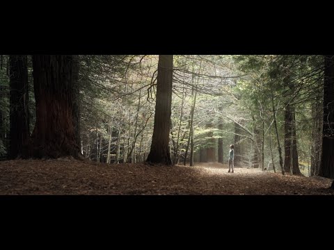 Видеообзор