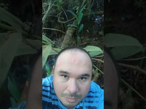 a visita ao outro lado da cachoeira da região de Orizona Goiás