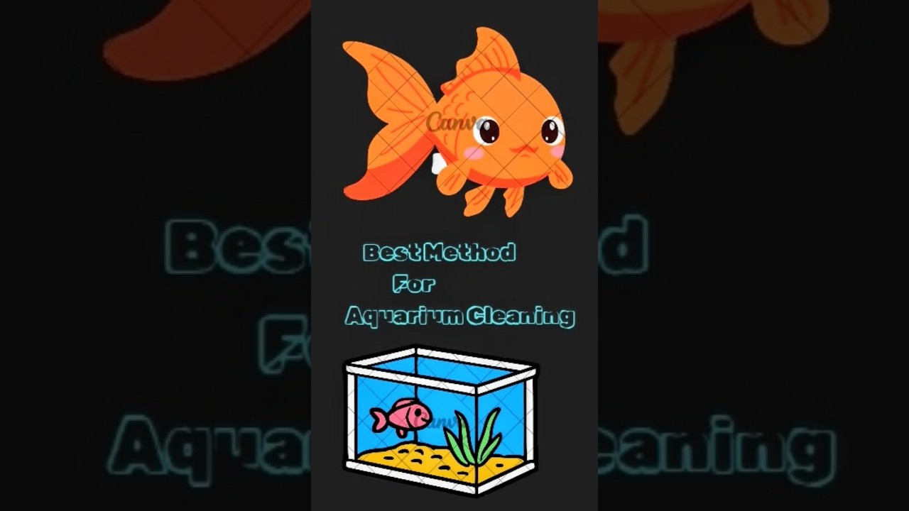 How to Clean Aquarium #fish #fishtank