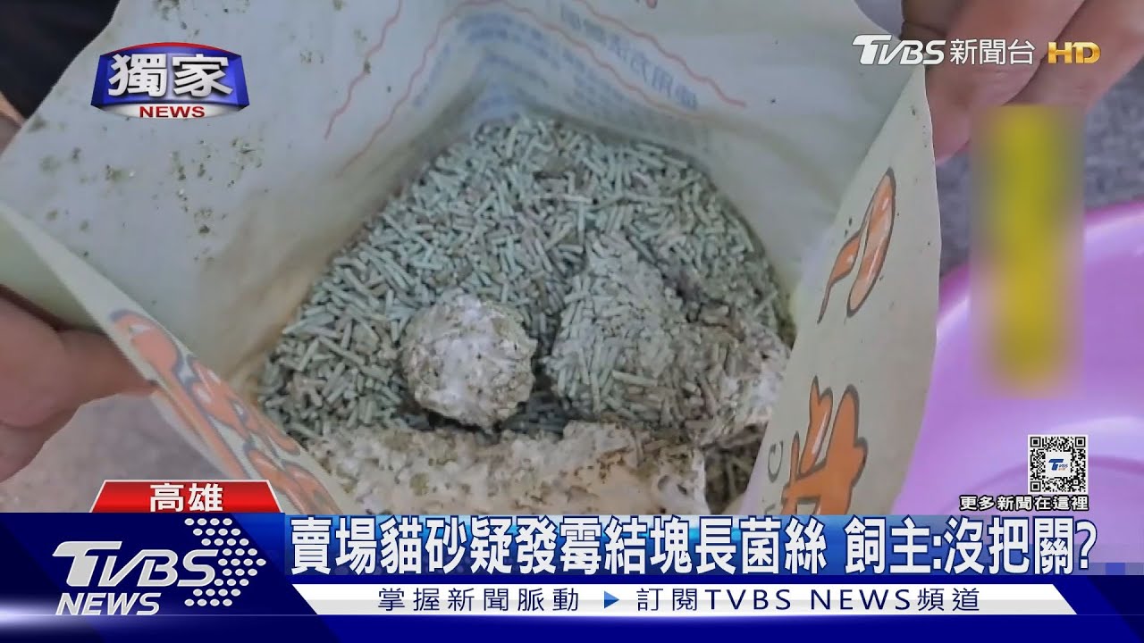 賣場貓砂疑發霉結塊長菌絲 飼主憂貓誤食生病
