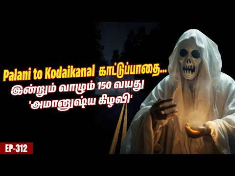 200 வருடங்களாக வாழும் 'பேய் கிழவி'😱 | பழனி மக்களுக்கு காத்திருக்கும் ஆபத்து 😥 | Varadharaja Stories