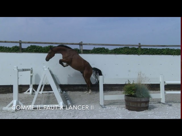 Milmé Jumping