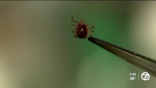 Ask Dr. Nandi: What to know about ticks and how to spot, get rid of them