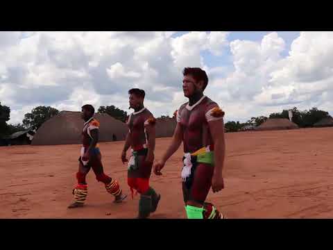Tree/ Árvore, The Xingu Indigenous Territory (english subtitles)