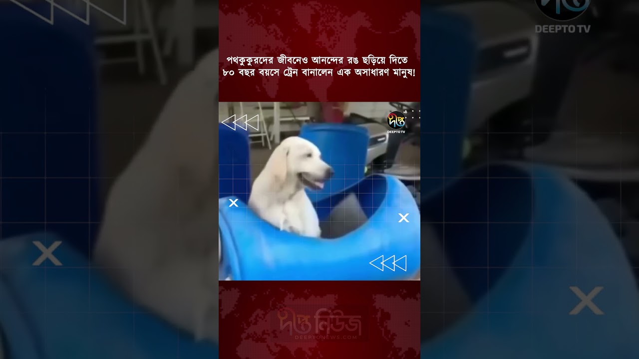 পথকুকুরদের জীবনেও আনন্দের রঙ ছড়িয়ে দিতে ৮০ বছর বয়সে ট্রেন বানালেন এক অসাধারণ মানুষ l #deeptonews