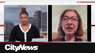 Former Privacy Commissioner voices concerns over alleged data breach