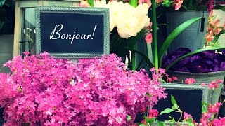 Allstate Floral Boutique de Fleurs Spring 2015