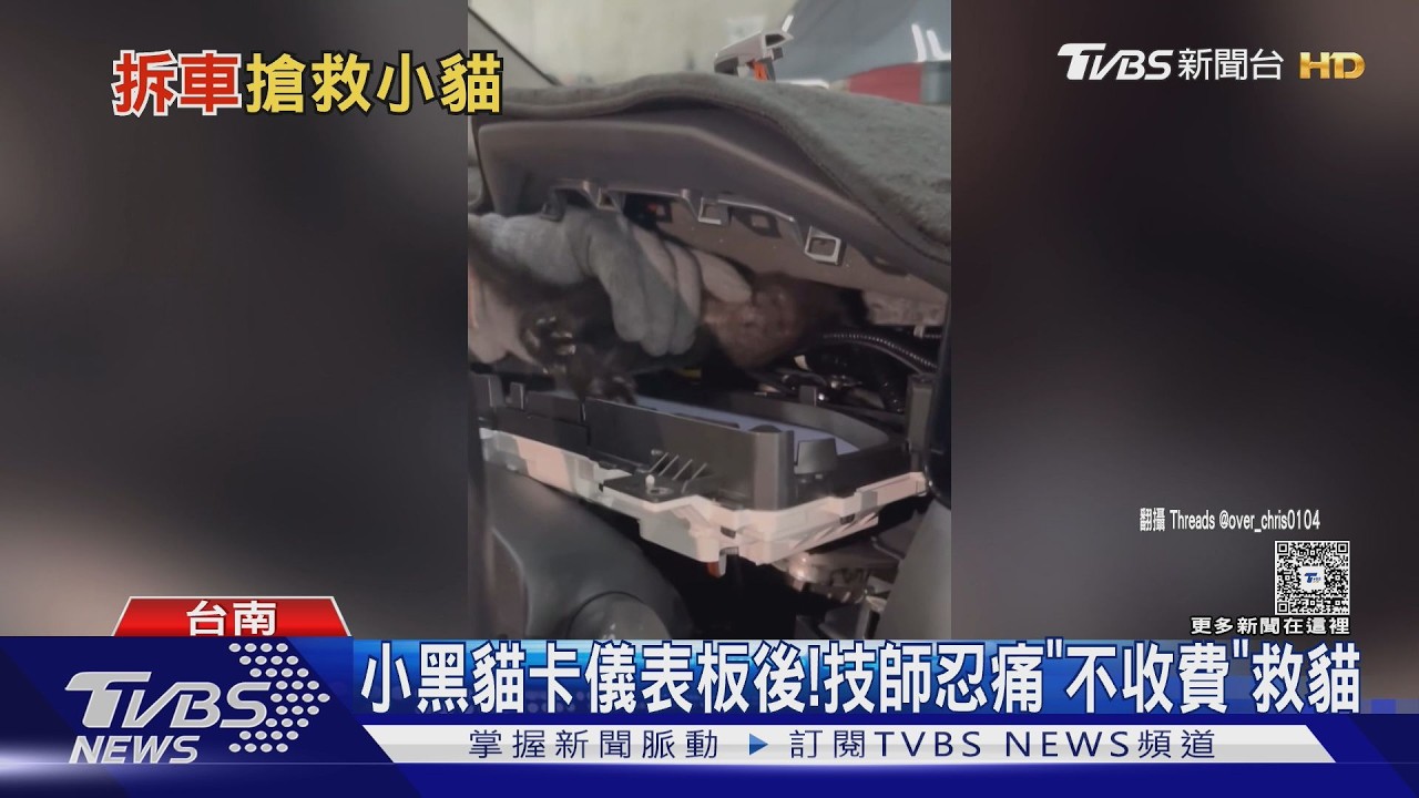 影音/小黑貓躲進儀表板!技師遭抓傷堅持救援 拆車不收費暖哭網