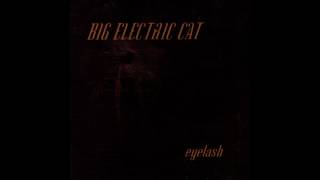 big electric cat black water