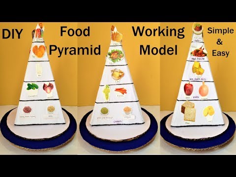 Food Pyramid Working Model 3d Making Science Project DIY HowToFunda