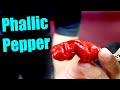 Peter Pepper The Perverted Pepper And Why I Don T Grow Plants Chili Pepper Reviews