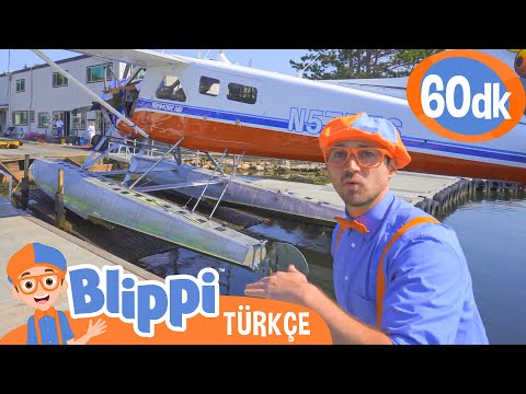 Blippi Deniz Uçağı Keşfediyor | Blippi Türkçe - Çocuklar için Eğitici Videolar