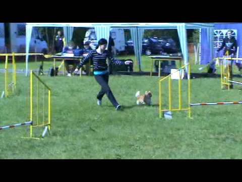 23 5 2009 CZECH OPEN Agility