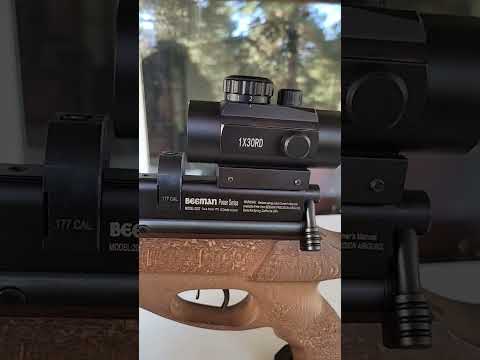 Beeman 2027 full review