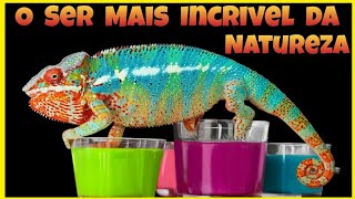 Esse ANIMAL é um MISTÉRIO da Natureza