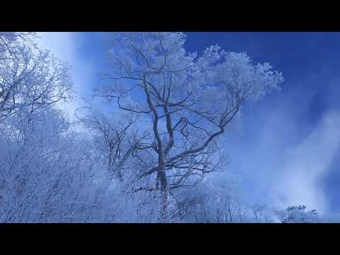 仁淀川四季・冬 - NIYODO BLUE! Winter -