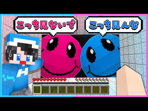 【 マイクラ 】オマエラこっちを見るな😃