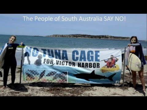 2016 02 21 No Tuna Cage